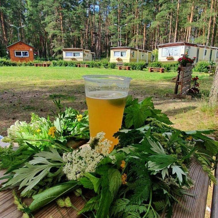 Chill&Grill Camping Daugavpils Exterior foto